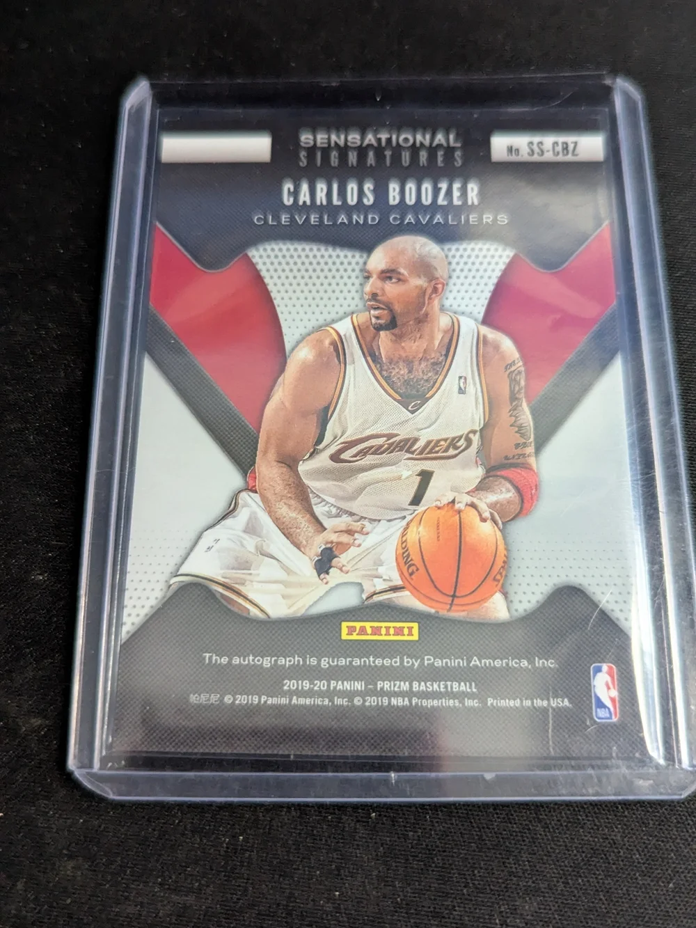 Panini 2019 20